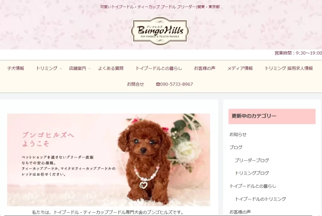 トイプードル専門ブリーダーとトリミングサロンのブンゴヒルズ